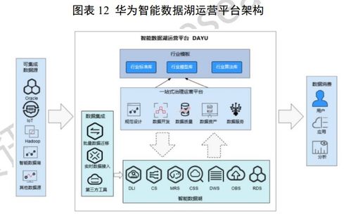 中國數(shù)據(jù)湖產(chǎn)品重點廠商全景掃描 賦能大數(shù)據(jù)服務新生態(tài)