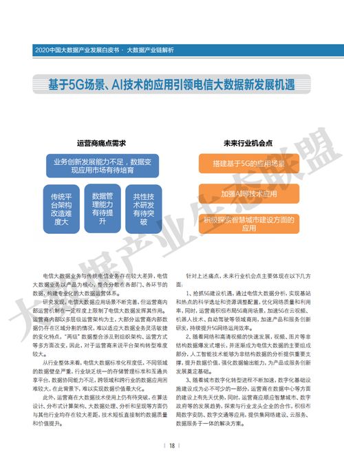 大數(shù)據(jù)產(chǎn)業(yè)生態(tài)聯(lián)盟2020中國大數(shù)據(jù)產(chǎn)業(yè)發(fā)展白皮書 大數(shù)據(jù)服務的崛起與變革